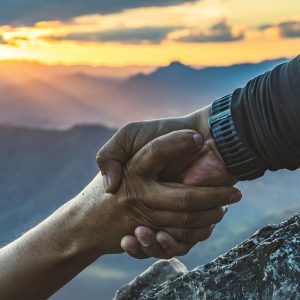 darowizna dla sokoła